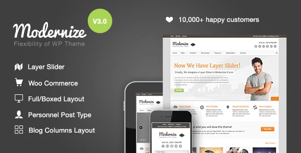 Modernize – Flexibility of WordPress